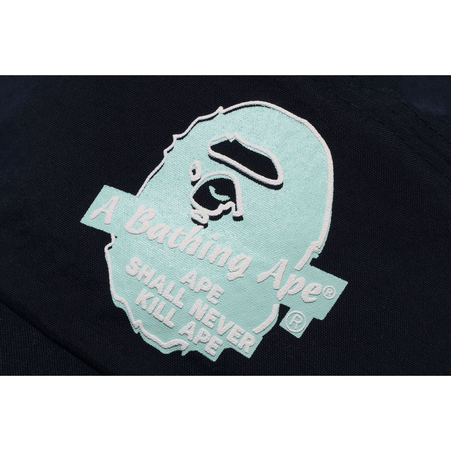 A BATHING APE PANEL CAP MENS