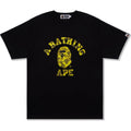RADIATION CAMO COLLEGE TEE MENS